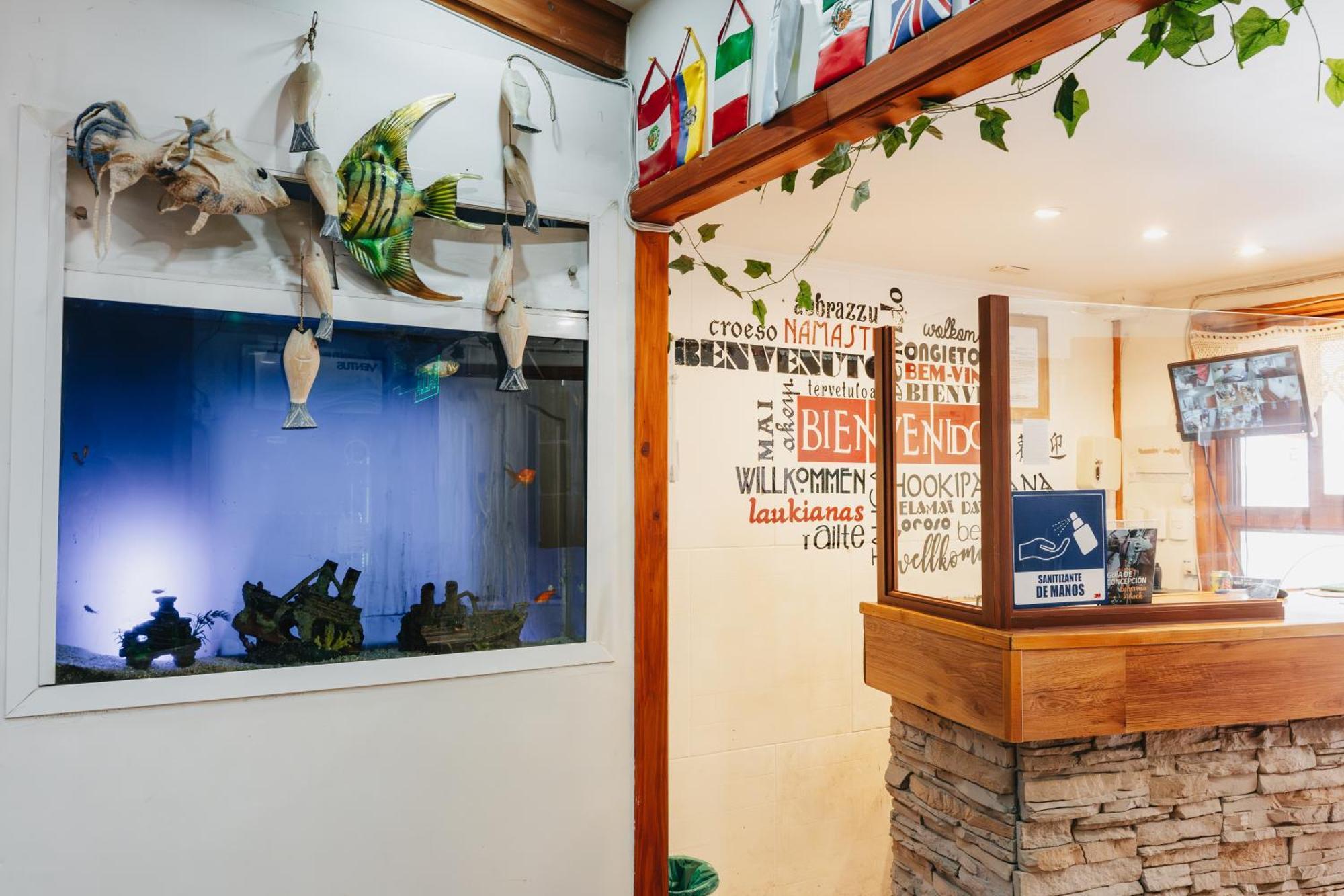 Hostel Hostal Concepcion